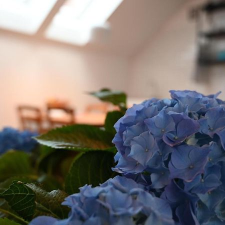 Krakovska Apartments Lublana Zewnętrze zdjęcie